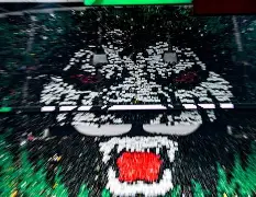 开云娱乐平台-北京国安最新消息